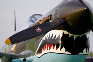 P40 Shark teeth closeup view source for seaplane teeth