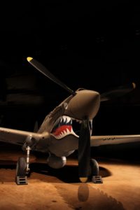 P40 shark teeth front view source for seaplane teeth