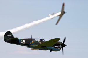 P40 shark teeth side view source for seaplane teeth